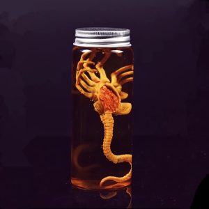 Frasco de vidro com um facehugger de Alien em líquido âmbar, com tampa metálica, sobre fundo escuro