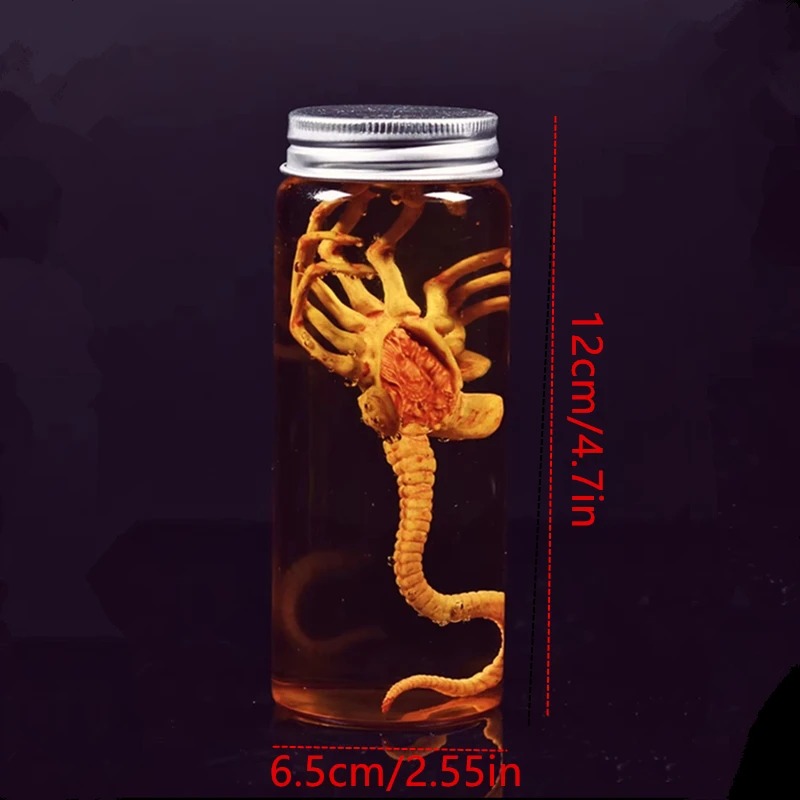 Frasco do facehugger de Alien com medidas de 12 cm de altura por 6,5 cm de largura indicadas