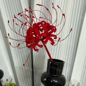 Lírio vermelho feito à mão, prop da Phrolova de Wuthering Waves, em um vaso preto